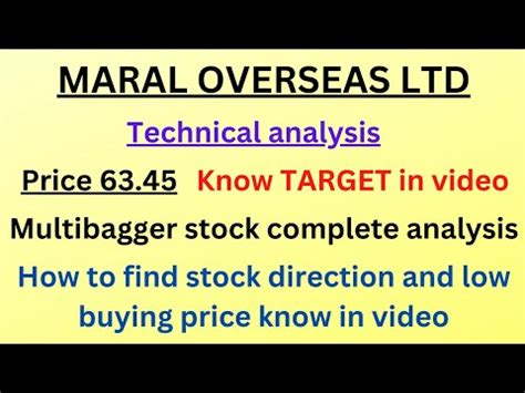 maral overseas share price target 2025